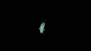 Plankton's Activity