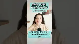 Stem cells explained in 30 seconds #shorts #science #stemcells