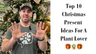 Top 10 Christmas Present Ideas For A Plant Lover