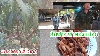 ลุงเสือไปทำงานแล้ว!!กับข้าวเช้าสองแม่ลูก!!กินง่ายๆ!!ซักผ้าต่อ