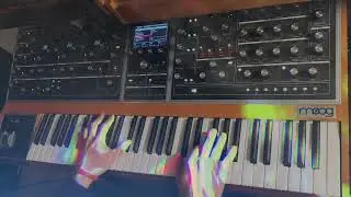 Moog One Choral thing Analog polysynth jam for Jamuary 16 2022