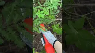 Kebtek electric pruning shears are here to change the game! #pruning #tools #gardeningtools