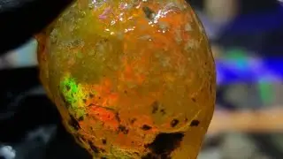 CUMA ADA DISINI , BARANG JARANG TERJADI🔥‼️#kalimaya #opal