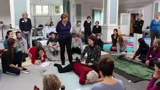 Mia Segal interview for Somatic Movement Summit