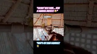 Disney Squirrel vs Swiss Family Treehouse Prop 🐿️ | Magic Kingdom Adventureland #Shorts