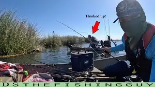 Back on the Dirty D With Casey Cramer (California Delta Fishing)