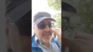Zanderlehring - kurzer Angel-Abstecher an sch&ouml;nem Spot in Havelberg - Hechtalarm