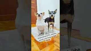 SOFIA I YULI NAS TENTATIVAS
