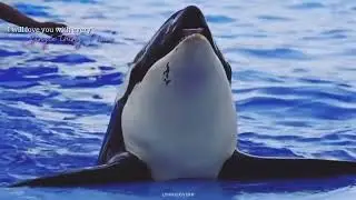 𝓶𝔂 𝓪𝓷𝓬𝓱𝓸𝓻.