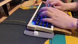 Wooting 60HE+ in desktoptribe DT60 | owlab ti he switch (re-recording)