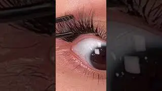 C&oacute;mo aplicar pesta&ntilde;as punto por punto 👀