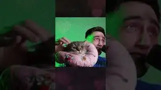 Коська #twitch #stream #fun #ForaMon #memes  #cute