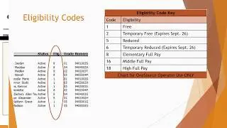 Account Balance Report by Date Training