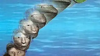 Animorphs  read along book 1 #the invasion. Part 1. Chapters 1-5 out of 27. 