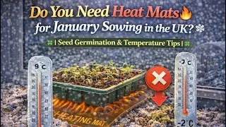 🎥 ✅ 🌿 Do You Need Heat Mats for January Sowing in the UK? 🔥 | Seed Germination & Temperature Tips