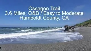 Prairie Creek Redwoods State Park; Ossagon Trail
