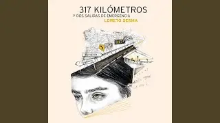 Km 317