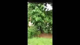 Kerala Flooding Shuts Down Cochin International Airport