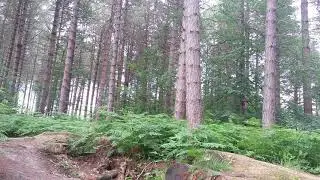 pub run Grenoside Woods