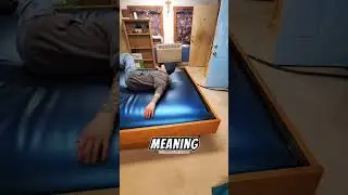 Why Waterbeds Went Extinct: The Truth Behind Their Disappearance!