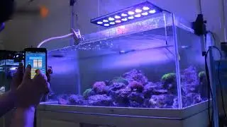 CTLite Aqua Blade LED aquarium light