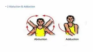 INTRODUCTION TO GROSS ANATOMY PART 2