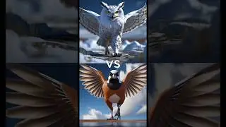 Eagle vs Vultures vs ( falcon, crow, owl, seagull, Duck, toucan bird, Macow, pigeon).#shorts #dog