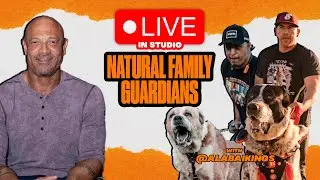 In person studio with Eric from @Alabai_kings to talk about the Alabai/Central Asian Shepherd