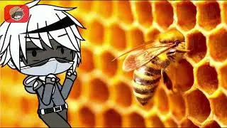Sweet Little Bumblebee - Slowed+Heavy+Mic Hog [Titan Bumbleman Version]