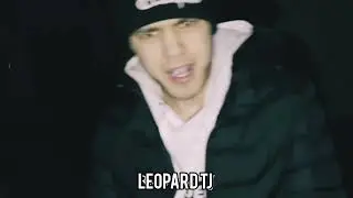 Клип Leopard & Styopa & Eminem (Leopard TJ)#top #topmusic #xit #legend #eminem #styopa #leopard