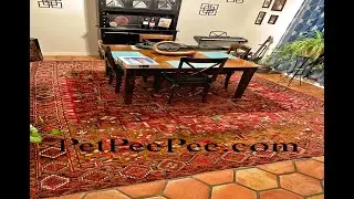 PetPeePee servicing The United Kingdom for Antique Persian Carpet clean from Cat Urine Odor