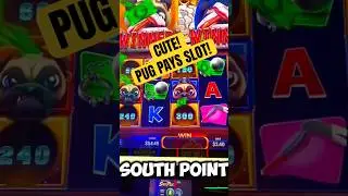 🐶CUTEST DOGS! PUG PAYS SLOT GAME!#shorts #dog