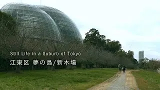 TOKYO PARK【 夢の島公園/新木場 】Yumenoshima Park/Shinkiba 2016-1-21