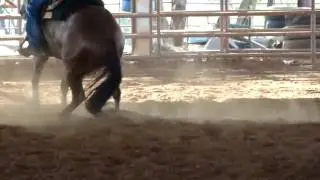MOV03657.MPG