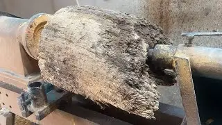 How I Rescued Forgotten Logs in the Corner of My Garden