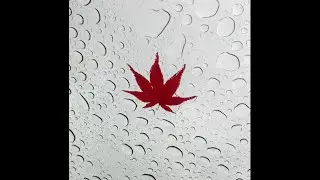 Budget 2025- Canada'$ Half Trillion Dollar Bet