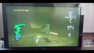 Let's Play The Legend Of Zelda Twilight Princess Part 116: Moblin Massacre!