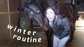 winter barn routine + thanksgiving day!