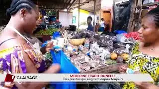 Médecine traditionnelle :  des plantes qui soignent depuis toujours