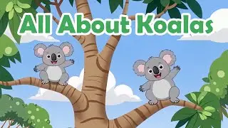 All About Koalas for Kids + Koala Song! 🐨🎶