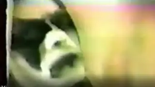 Black Metal ❌Tv Rep. 90s (eng)