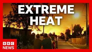 Heatwave causes deadly wildfires in Europe. What to know | BBC News