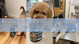 Review CHEWIA Probiotics for Dogs Gut Health, Digestion, Immunity, Yeast Balance, Itchy Skin, Allerg