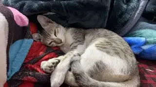 Friday night sleep time