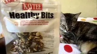 All My Small Animal Treats!!! please read the description bar as well!!!