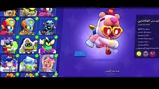 استعراض السكنات