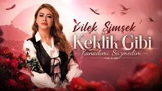 DILEK SIMSEK  KEKLIK GIBI KANADIMI SUZMEDIM