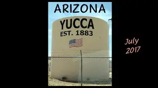 Arizona Yucca 2017