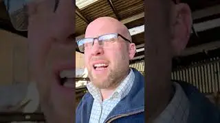 Update on the fat stock | Frustrated farmer