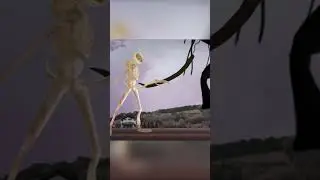 Cameraman vs Day 17 #shorts
